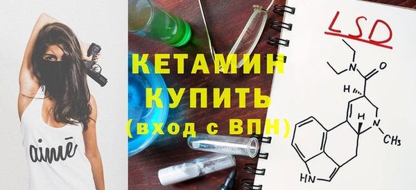 шишки Бабаево
